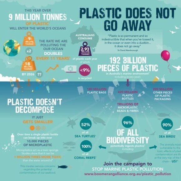 𝅺No Aesthetic Packaging - Picture 4 of 6